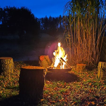 Wald-Apartment Limbach-Oberfrohna Bagian luar foto