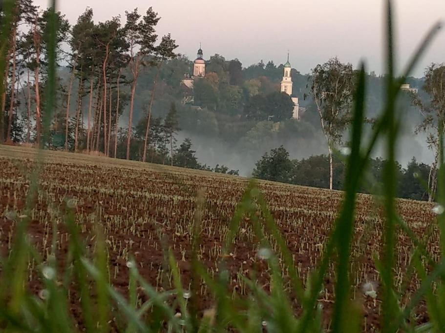 Wald-Apartment Limbach-Oberfrohna Bagian luar foto