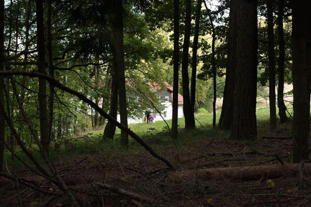 Wald-Apartment Limbach-Oberfrohna Bagian luar foto