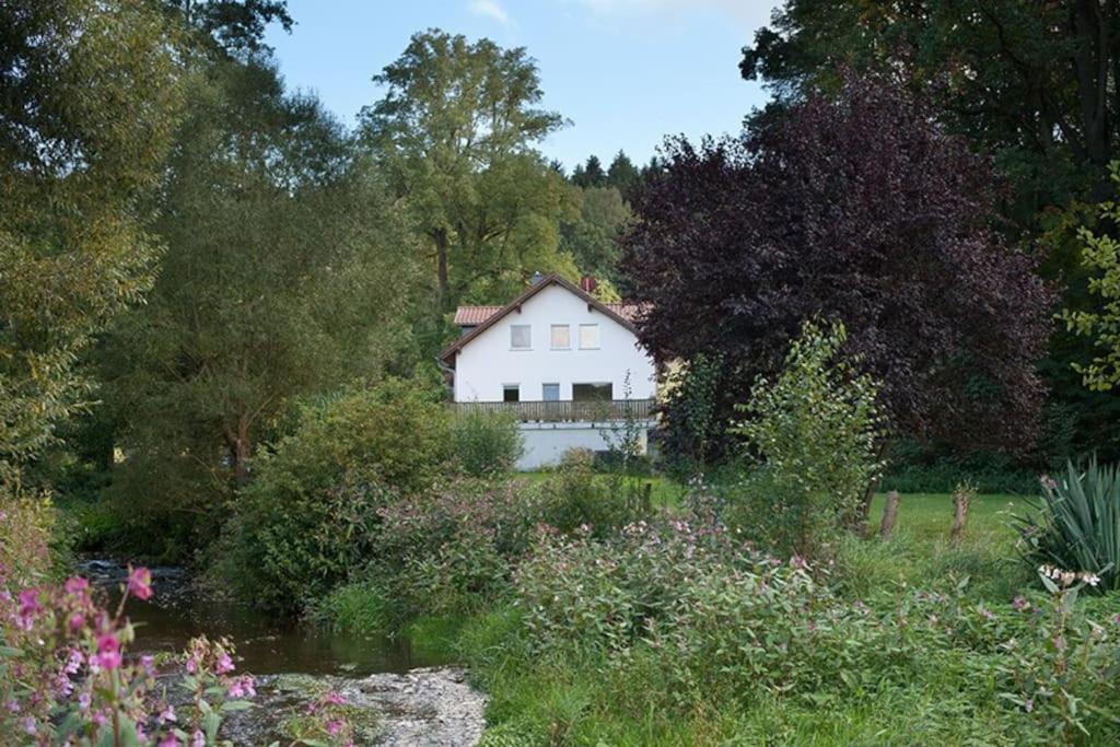 Wald-Apartment Limbach-Oberfrohna Bagian luar foto