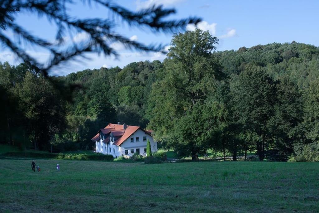 Wald-Apartment Limbach-Oberfrohna Bagian luar foto