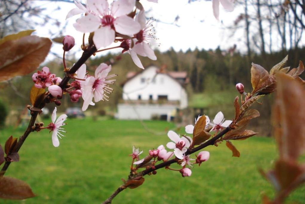 Wald-Apartment Limbach-Oberfrohna Bagian luar foto