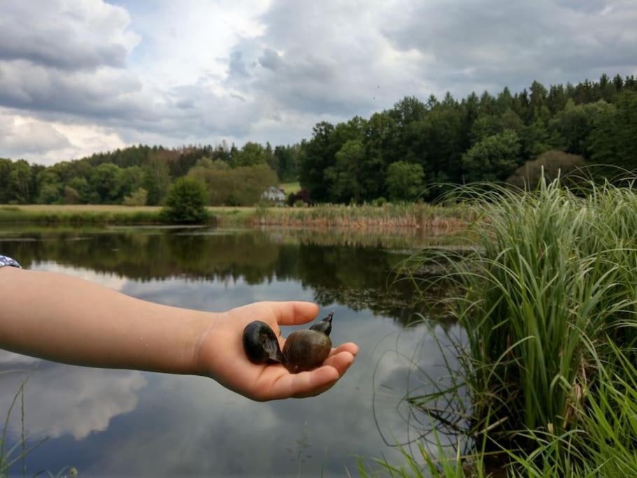 Wald-Apartment Limbach-Oberfrohna Bagian luar foto