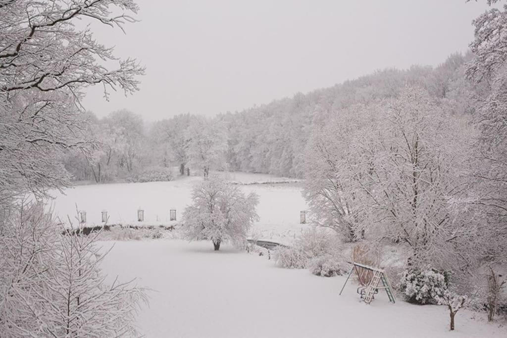 Wald-Apartment Limbach-Oberfrohna Bagian luar foto