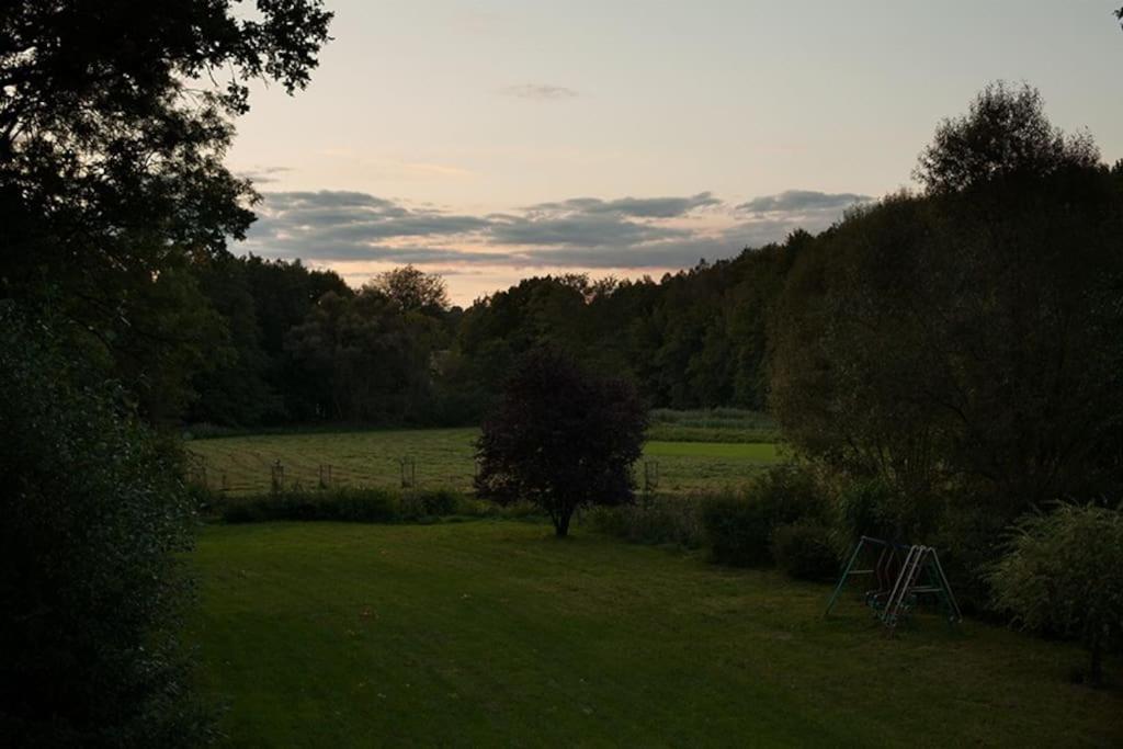 Wald-Apartment Limbach-Oberfrohna Bagian luar foto