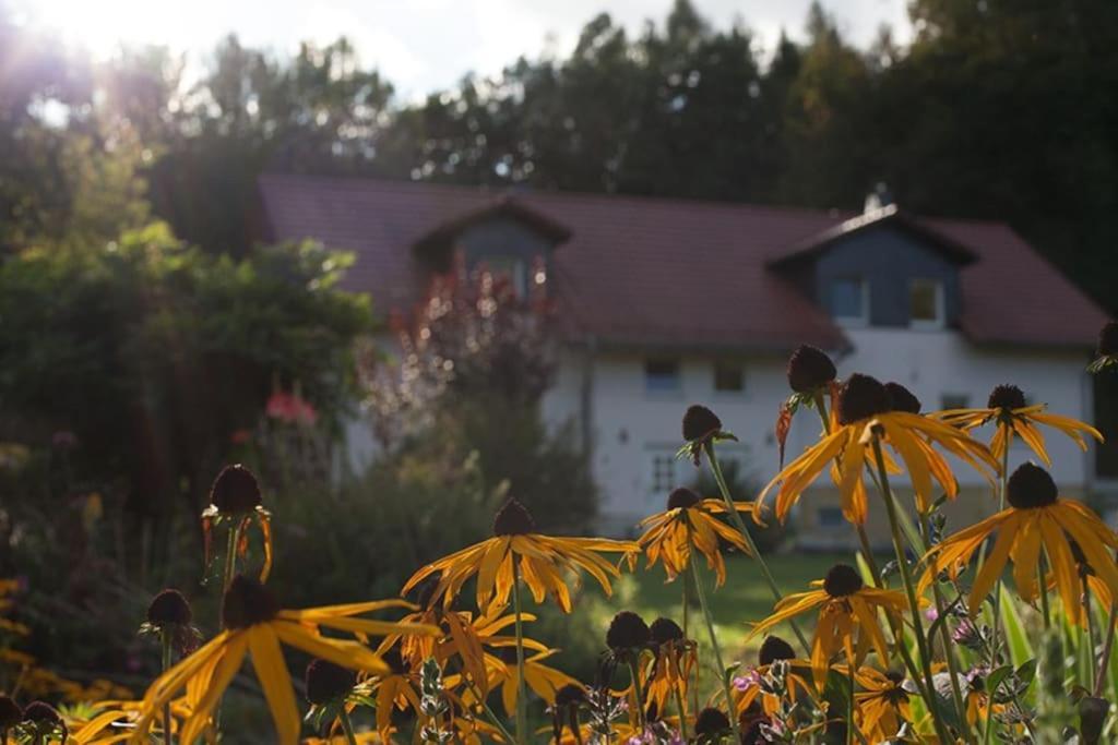 Wald-Apartment Limbach-Oberfrohna Bagian luar foto