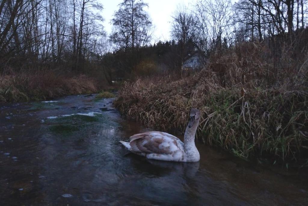 Wald-Apartment Limbach-Oberfrohna Bagian luar foto
