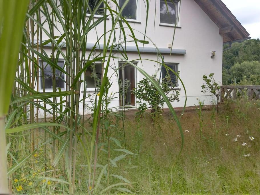 Wald-Apartment Limbach-Oberfrohna Bagian luar foto