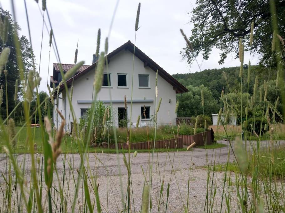 Wald-Apartment Limbach-Oberfrohna Bagian luar foto
