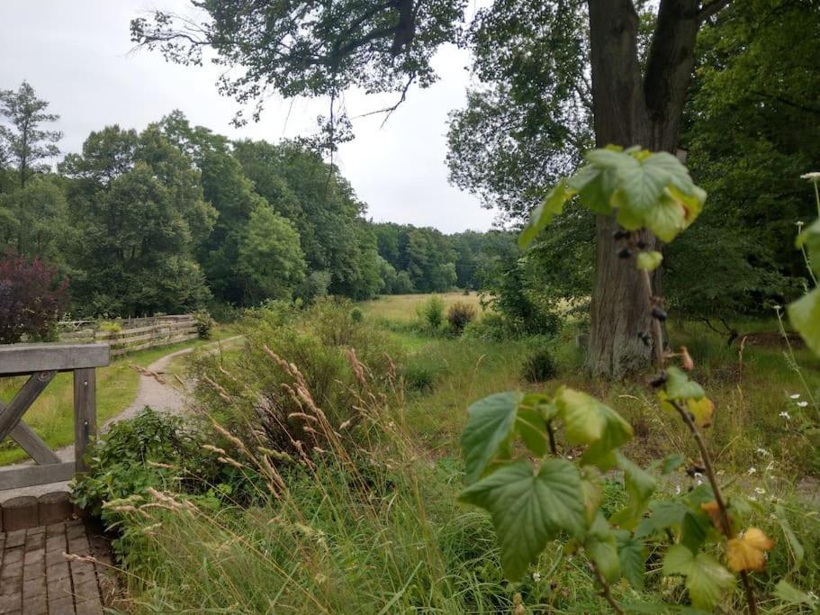 Wald-Apartment Limbach-Oberfrohna Bagian luar foto