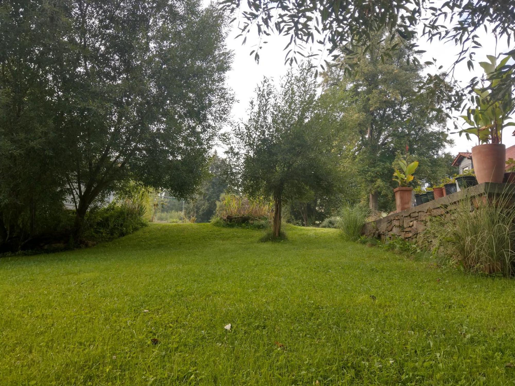 Wald-Apartment Limbach-Oberfrohna Bagian luar foto